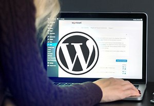 The Best WordPress Gutenberg Themes for 2025, Available Now (Free & Premium) | Envato Tuts