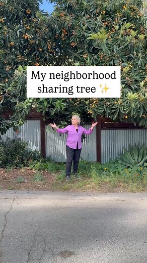 13K views · 12K reactions | One of my most favorite things about gardening is the way in which it builds community! This is my neighborhood sharing tree. It produces far more loquats than I could ever eat, so I invite neighbors to come by and pick their fair share. It’s one of my favorite ways to give back! #gardentips #sandiegogardener #gardeningtipsforbeginners | Nan Sterman, Waterwise Gardener | Facebook