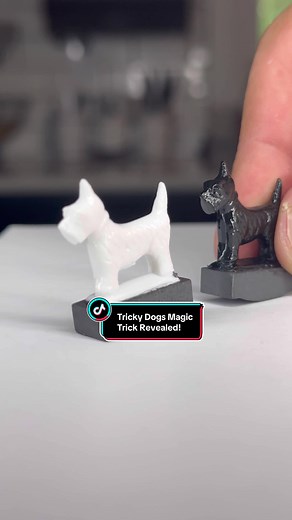 The Secret of the Tricky Dogs Magic Trick REVEALED! #illusion #magictrick #dogs #magic #trick #dog #tricks #magician #dogsoftiktok #shopicons #foryou