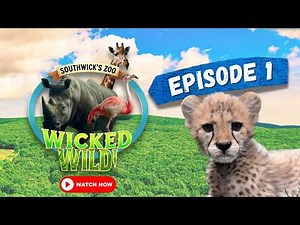 Episode 1: Milestones (Wicked Wild: Inside New England's Biggest Zoo)