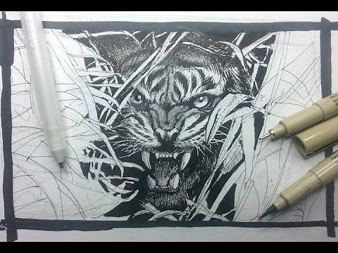 Pen & Ink Drawing Tutorials | How to draw a tiger