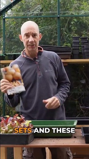 Broad Beans & Bargain Onion Sets for Winter Gardening!