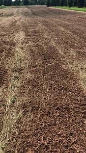 1K views · 59 reactions | Fall planting has begun! | Northwoods Whitetails Inc. Food Plot Seed | Facebook