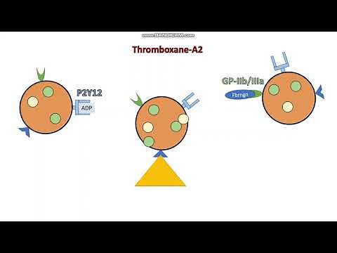 Anti platelets - MOA, indications and Side-effects (Aspirin, P2Y12 and GP-IIB/IIA inhibitors)