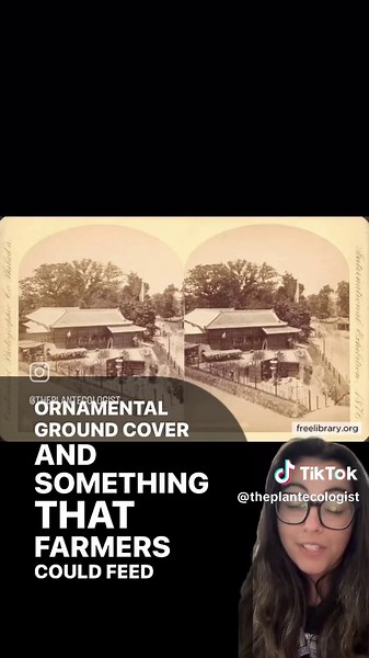 The Plant Ecologist on TikTok