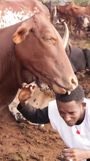 Exploration of Fulani Culture and Language