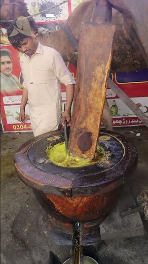 Watch Me Make Oil at Kolhu Traditional vs Modern Methods