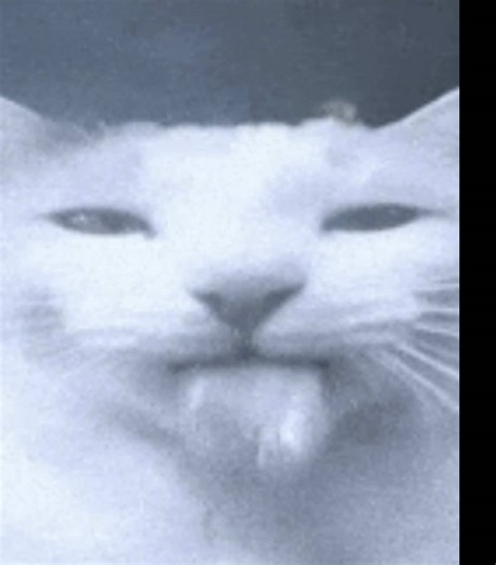 Understanding Oovoo Javer: A Cultural Reference