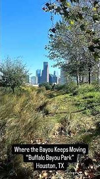 Buffalo Bayou Park – Scenic Trails and Skyline Views in Houston TX