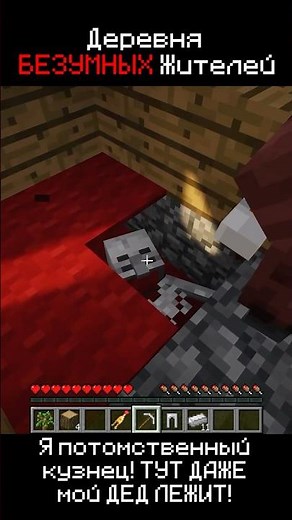 Village of Crazy Villagers in Minecraft