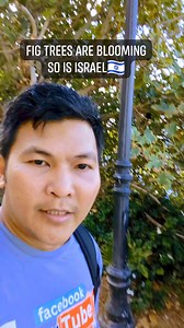 Matthew 24:32-33 "Now learn this parable from the fig tree: When its branch has already become tender and puts forth leaves, you know that summer is near. So you also, when you see all these things, know that it is near—at the doors." #angbuhaykosaisrael #Figtree #worthtoshare | Ang buhay ko sa Israel