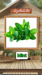 518K views · 10K reactions | English words … #storyteller #English #story #Englishlearning #englishteacher #speakenglish #englishspeaking #storytime #storytelling #englishlanguage #englishstory | English4kid | Facebook