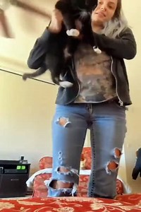 Funniest Videos 2022  Funny Cats  and Dogs