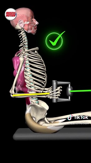 Maximize Your Back Workout with Correct Form
