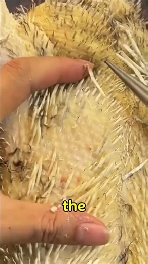 This Machine Removes Duck Feathers in Seconds 😳 #shorts