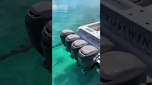 Swim with awe-inspiring sharks in the Bahamas’ paradise waters