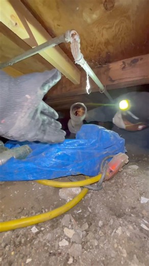 Broken Sewer Pipe under house nightmare#plumbing