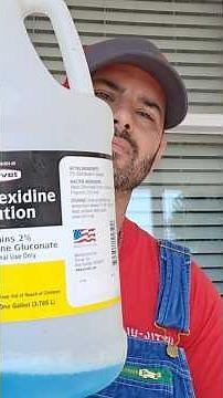Cleaning with chlorhexidine. #dogs #staffordshirebullterrier