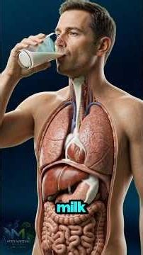 Is Your Daily Milk Secretly Hurting You? Watch This #healthfacts#facts