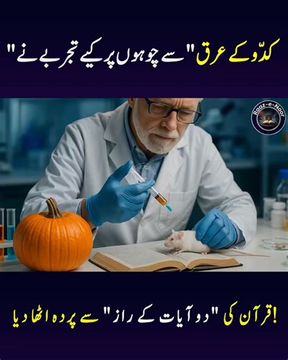 787K views · 37K reactions | Pumpkin Can Save Your Life | Raaz e Noor #Pumpkin #PumpkinMiracle #Hindi #Urdu #IslamicReels | Raaz-e-Noor | Facebook