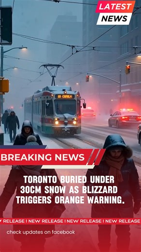 Toronto is under siege from a powerful winter storm as more than 30 centimeters of snow blanket the Greater Toronto Area, triggering an Orange Snowfall Warning. Whiteout conditions have slowed traffic, disrupted public transit, and forced crews into round-the-clock snow removal. Officials urge residents to avoid non-essential travel as heavy snowfall and strong winds continue to impact the city. #Canada #StatsCanada #fblifestyles | All Around US