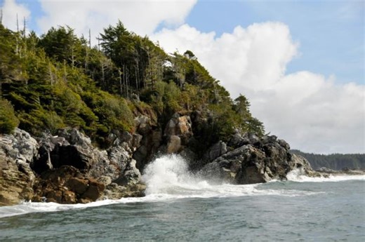 First-of-a-kind study reveals Canada’s most vulnerable eco-regions - The Weather Network