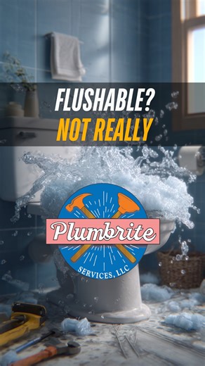 Even the wipes labeled flushable can create major plumbing problems. Unlike toilet paper, most wipes do not break down in your pipes and can lead to clogs that cost you unnecessary money to fix. Next time, don’t flush those wipes. Just throw them in the garbage to keep your plumbing running smoothly. If you want it done right, call Plumbrite. www.plumbriteservicesaz.com 602-704-0549 #plumbing #plumbers #plumber | Plumbrite Services LLC