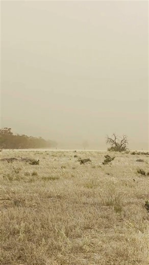 Crazy winds in Pinnaroo today! If you see my hat flying past, give it a wave 👋 | Crop Smart