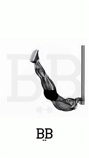 Dragonfly (CORE): The Bruce Lee Secret for Elite Ab Strength! 🐉🔥