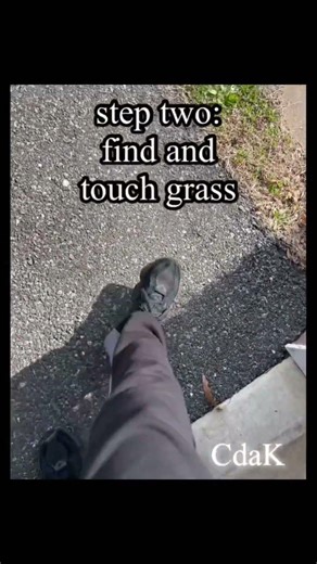 Touching grass tutorial #gaming #touchgrass