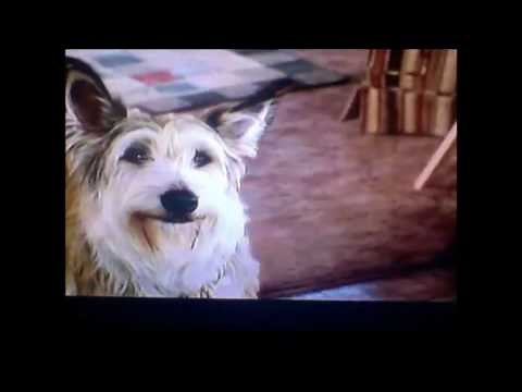 Opening to Robots Play Along 2005 DVD