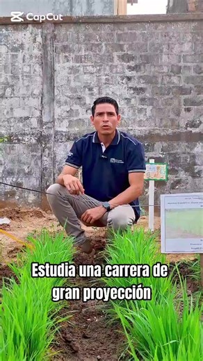 Estudia Producción Agrícola en el ISTB