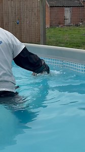 203K views · 5.7K reactions | 16 week old cocker spaniel Bella’s first swim, little super star  | Canine Dip and Dive Maldon | Facebook