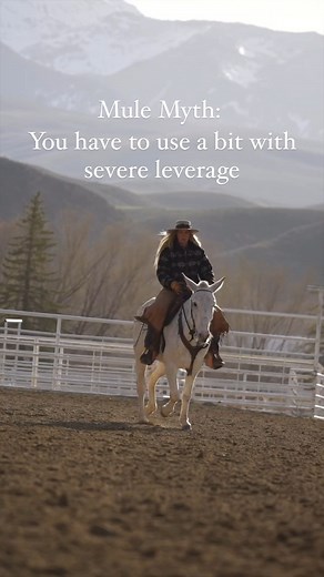 I once had someone tell me you could never ride a mule in a snaffle. That you needed more “pain” to get them to listen. But I couldn’t disagree more. This post is not about judgement towards others and the tools they use, but about the bad rap mules often get. I hear myths about mules all the time, and I can’t help but wonder who started the rumors? My guess would be it was someone who didn’t take the time to understand the mule or build a solid foundation with that animal. Now we all start off 