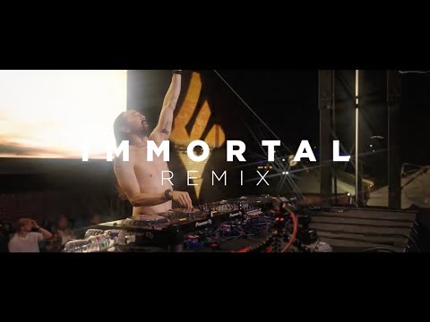 2ŁØT & Aloe Blacc - Immortal (Steve Aoki Remix) [Official Lyric Video]