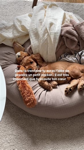 Le plus beau à mes yeux