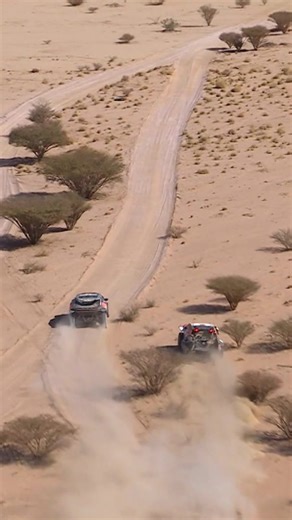 Henk Lategan Chasing Sébastien Loeb at Dakar 2026