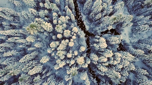 37K views · 27 reactions | Hear Addison's story. Calgary Addiction Treatment Services, #WeCanHelp 1-866-Last-Door www.LastDoor.org/calgary-addiction-treatment-services/ | Last Door Recovery Society | Facebook