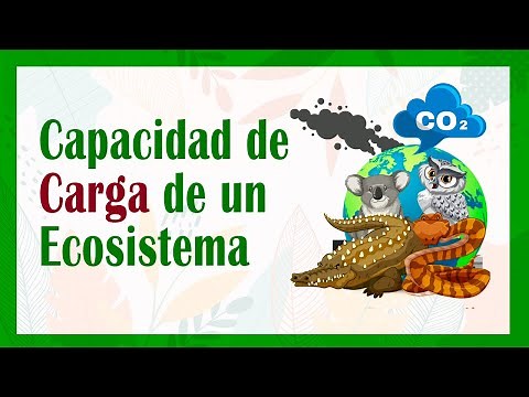 What is the LOAD CAPACITY 🌳🐅🐦 of an ecosystem ⛰🌎