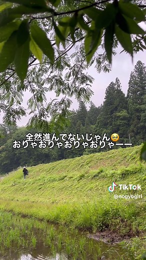 草刈り機の人気ランキングと農業女子の活躍