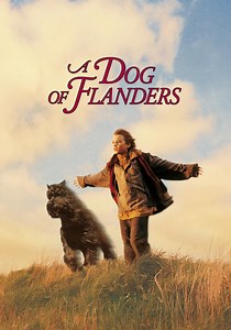 A Dog of Flanders streaming: where to watch online?