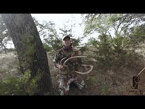 EZY-AXIS close incounter