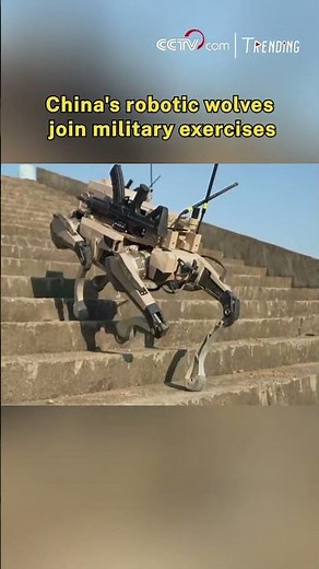 China's robotic wolves join military exercises