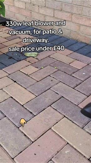 leaf blower and vacuum