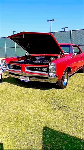 Peter Mark on Instagram: "1966 Pontiac GTO #classicpontiac #pontiacgto"