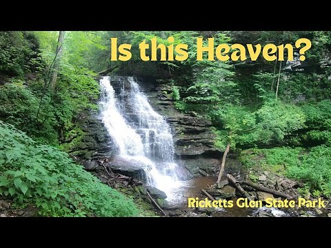 Epic Waterfall Adventure | Hiking Rickett's Glen Falls Trail Loop