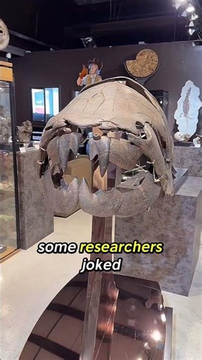 Scientists Couldn't Explain These 3 Discoveries From the 90s #weird discoveries