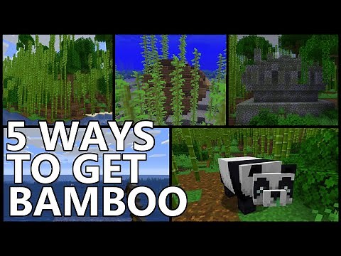 5 Ways To Get BAMBOO In Minecraft