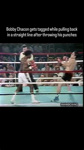 INΛIM BOXING on Instagram: "Cornelius Boza Edwards vs a Bobby Chacon I"