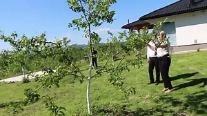 8.6K views · 215 reactions | Senada i Mladi izvori - Djeco moja na kraj svijeta.... | Narodna Muzika | Facebook